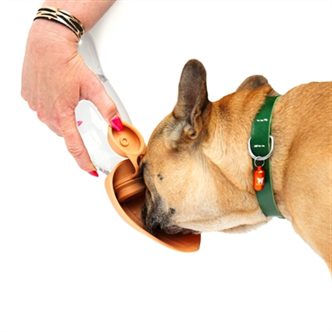 Gamelle pliable pour chien – photo 7