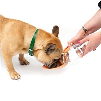 Gamelle pliable pour chien – photo 8