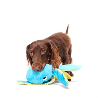 Jouet pour chien qui couine – photo 7