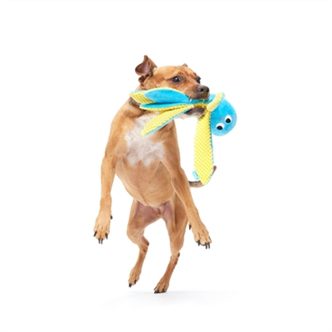Jouet pour chien qui couine – photo 8