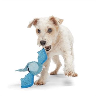Jouet occupation chien – photo 4