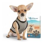 Lot gilet rafraîchissant Coolpets et gamelle Eat Slow pour chien – photo 2