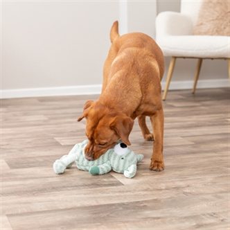 Jouet intelligent pour chien – photo 8