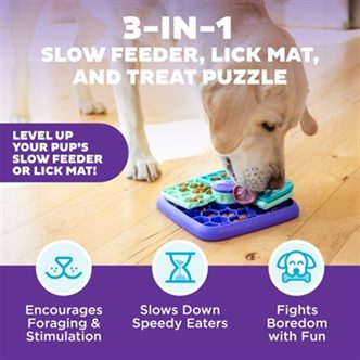 Jeu intelligent pour chien – photo 4