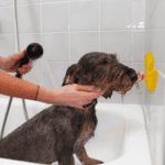 Lot jouet Spinning Feeder et canard de bain Calm Paws pour chien – photo 4