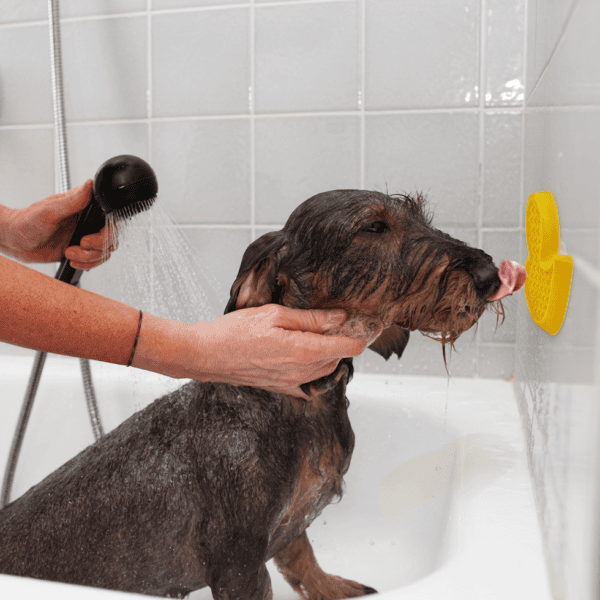 Lot jouet Spinning Feeder et canard de bain Calm Paws pour chien – photo 4