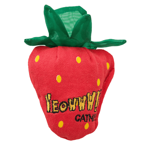 Lot jouets herbe à chat Yeowww Strawberry, bougies et tunnel AFP Find Me – photo 3