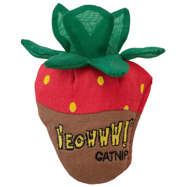 Lot jouets herbe à chat Yeowww Strawberry, bougies et tunnel AFP Find Me – photo 4