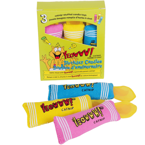 Lot jouets herbe à chat Yeowww Strawberry, bougies et tunnel AFP Find Me – photo 5