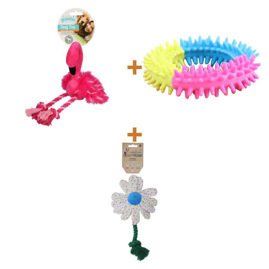 Lot : Peluche flamant rose Pawise pour chien + Anneau arc-en-ciel Pawise Rainbow World Ring + Jouet fleur Garden Paws Flower Sky Flowers