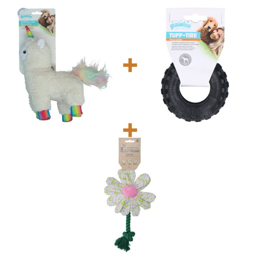 Lot : Peluche lama à couineur Pawise Sequine Pet Lama + Pneu en mousse Pawise 10 cm pour chien + Jouet fleur Garden Paws Flower Spring Sakura