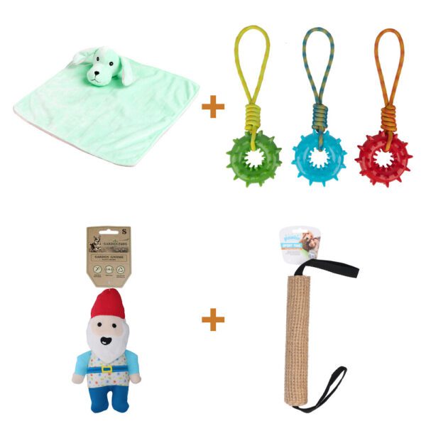Lot : Couverture avec peluche Pawise Puppy Life pour chiot + Anneau de tir Pawise avec poignée pour chien + Jouet nain de jardin Garden Paws Happy Henry + Rouleau de jute Pawise pour chi Lot : Couverture avec peluche Pawise Puppy Life pour chiot + Anneau de tir Pawise avec poignée pour chien + Jouet nain de jardin Garden Paws Happy Henry + Rouleau de jute Pawise pour chi