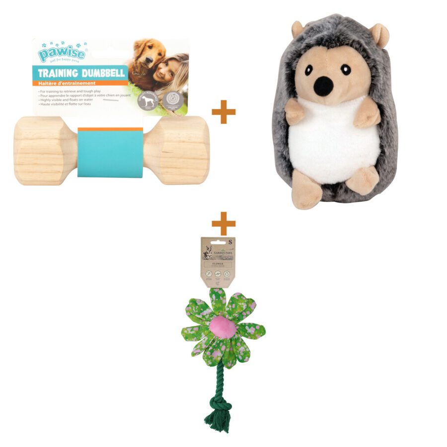 Lot : Haltère de rapport en bois Pawise taille S + Peluche hérisson Pawise pour chien + Jouet fleur Garden Paws Flower Summer Shrubs