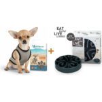 Lot : Gilet rafraîchissant Coolpets Cooling Vest + Gamelle anti-glouton Eat Slow Live Longer Original