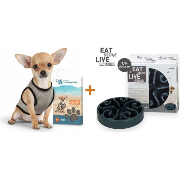 Lot : Gilet rafraîchissant Coolpets Cooling Vest + Gamelle anti-glouton Eat Slow Live Longer Original