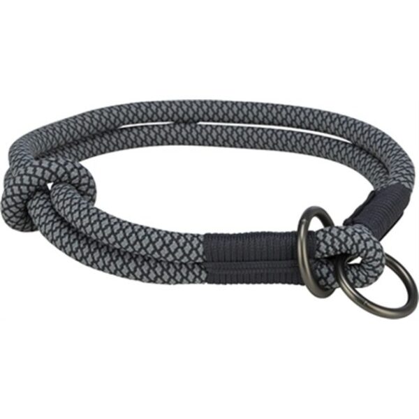 Collier et laisse pour chien – photo 2