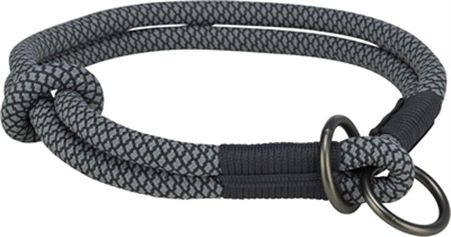 Collier et laisse pour chien – photo 2