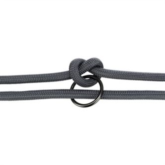 Collier et laisse pour chien – photo 4