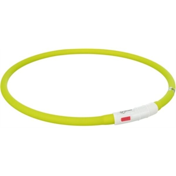 Collier lumineux chien – photo 2