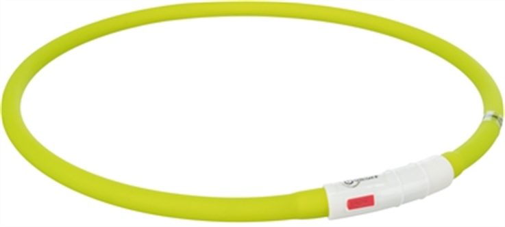 Collier lumineux chien – photo 2