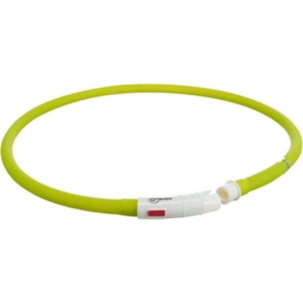 Collier lumineux chien – photo 6