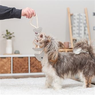 Lanceur de balle pour chien – photo 7