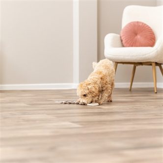 Lanceur de balle pour chien – photo 8