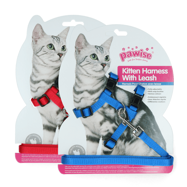 Lot litière gamelle harnais pour chat – photo 5
