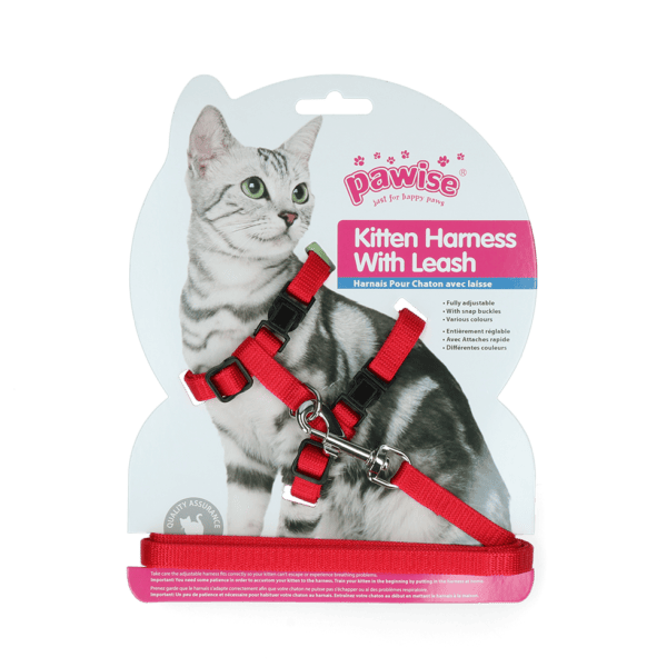 Lot litière gamelle harnais pour chat – photo 6