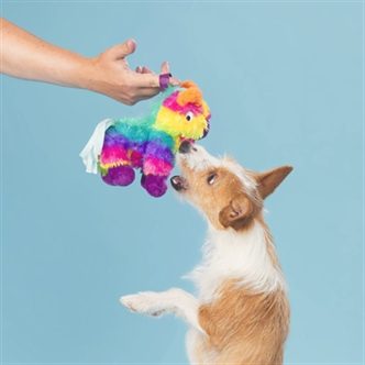 Jouet peluche chien – photo 7