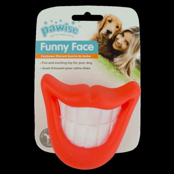 Lot panier Snuggle Pet Bed et jouet Funny Face pour chien – photo 3