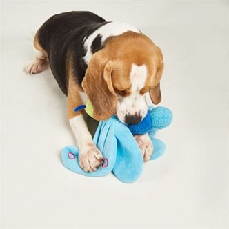 Jouet pour chien en corde – photo 5