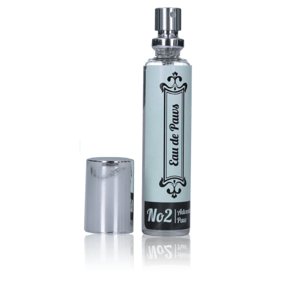 Lot parfum Eau de Paws Adventure Paw et shampoing spray Dirty Dawg pour chien – photo 2