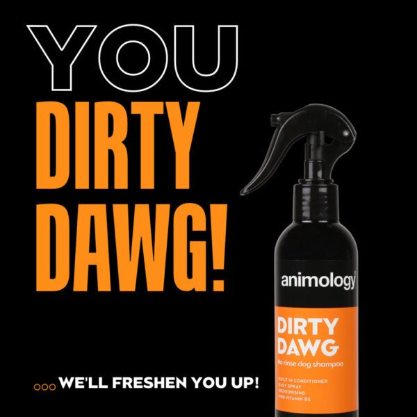 Lot parfum Eau de Paws Adventure Paw et shampoing spray Dirty Dawg pour chien – photo 4