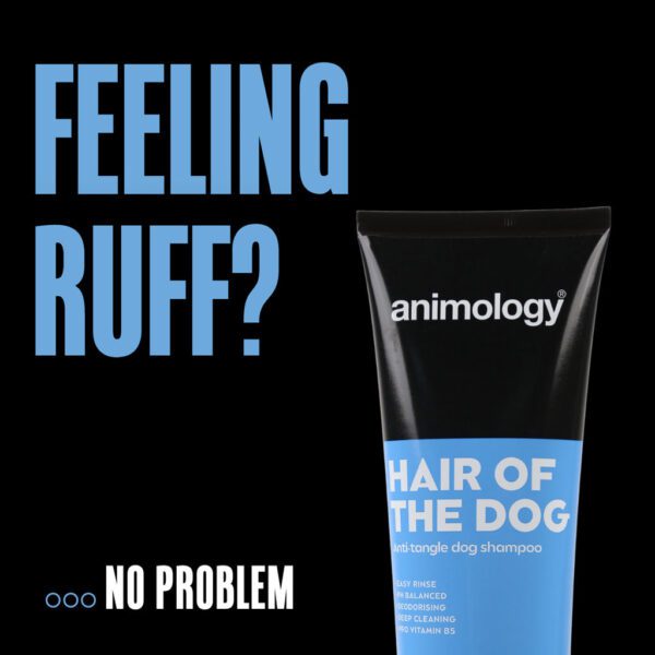 Lot parfum Eau de Paws Belle Paw et shampoing démêlant Hair Of The Dog pour chien – photo 4