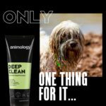 Lot parfum Invicti Paw, coupe-griffes et shampoing Deep Clean pour chien – photo 6