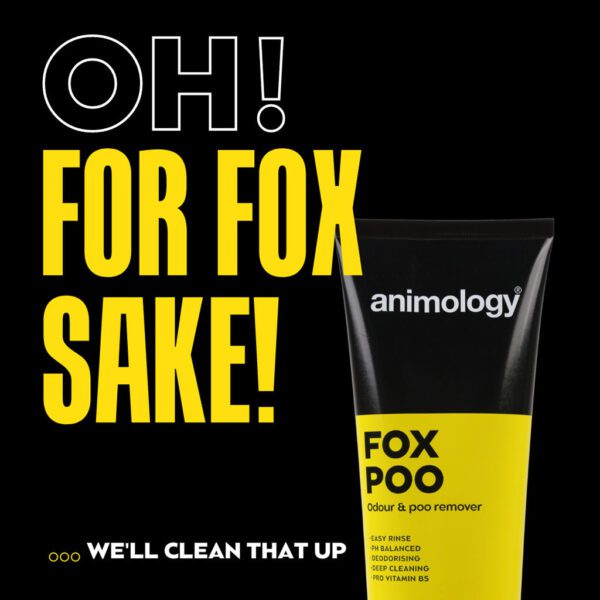Lot parfum Eau de Paws Paw Adore et shampoing anti-odeurs Fox Poo pour chien – photo 4