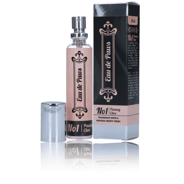 Lot parfum Eau de Paws Pawwy Choo et shampoing Derma Dog pour chien – photo 1