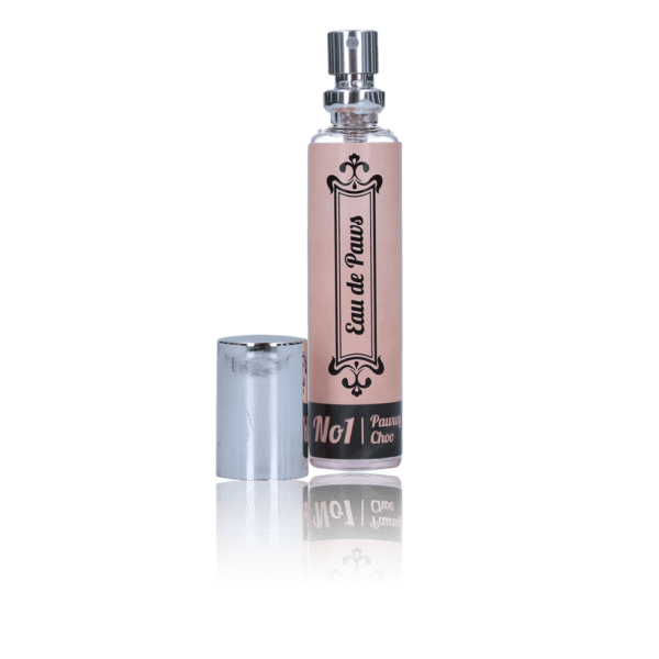 Lot parfum Eau de Paws Pawwy Choo et shampoing Derma Dog pour chien – photo 2