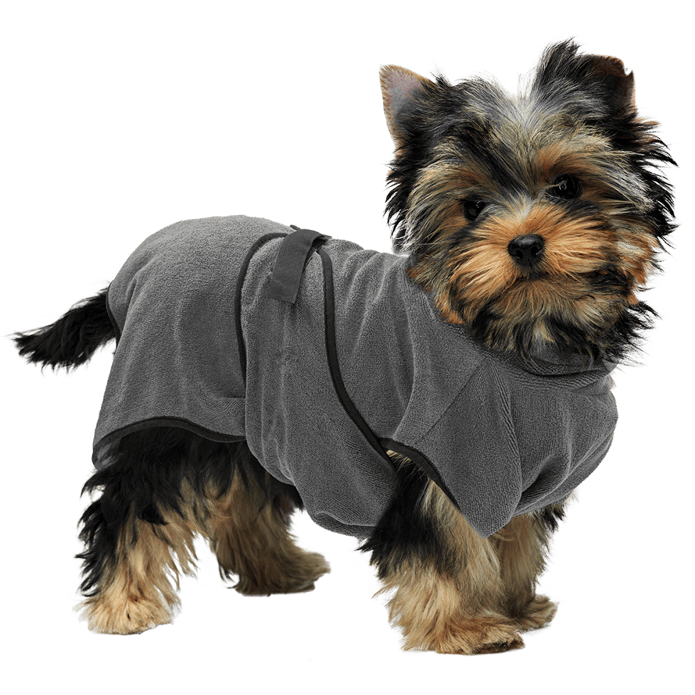 Lot peignoir Royal Dry, tapis à jets d'eau et laisse cuir pour chien – photo 2