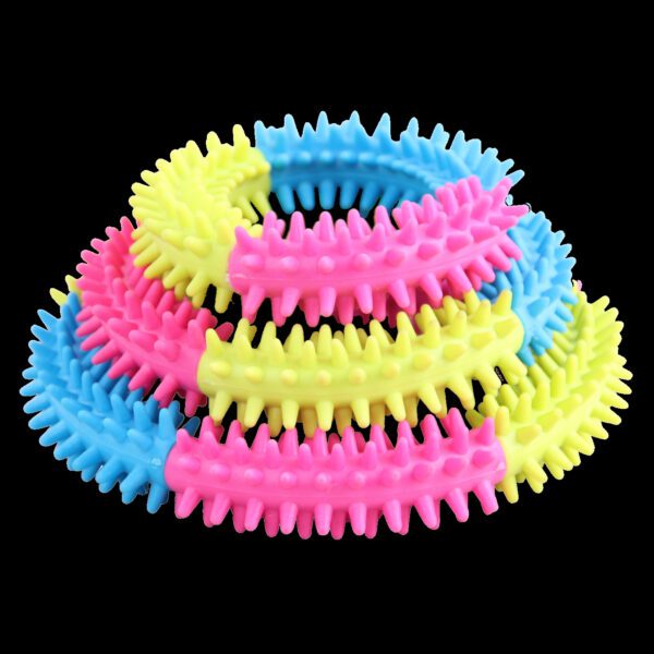 Lot peluche flamant rose, anneau Rainbow World Ring et fleur Garden Paws pour chien – photo 4