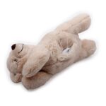 Lot peluche Growl Sidekicks Koala et ourson chauffant AFP Little Buddy – photo 4