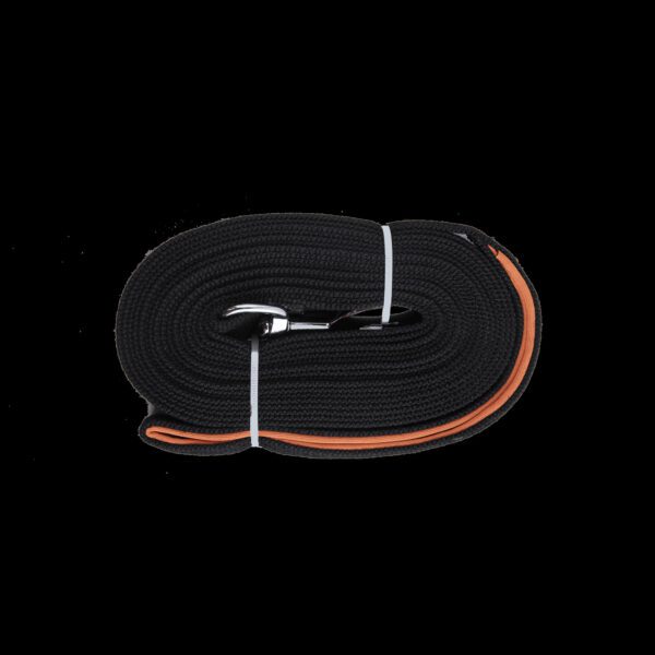 Lot sac à friandises AFP, distributeur PoopyGo et longe Pawise pour chien – photo 5