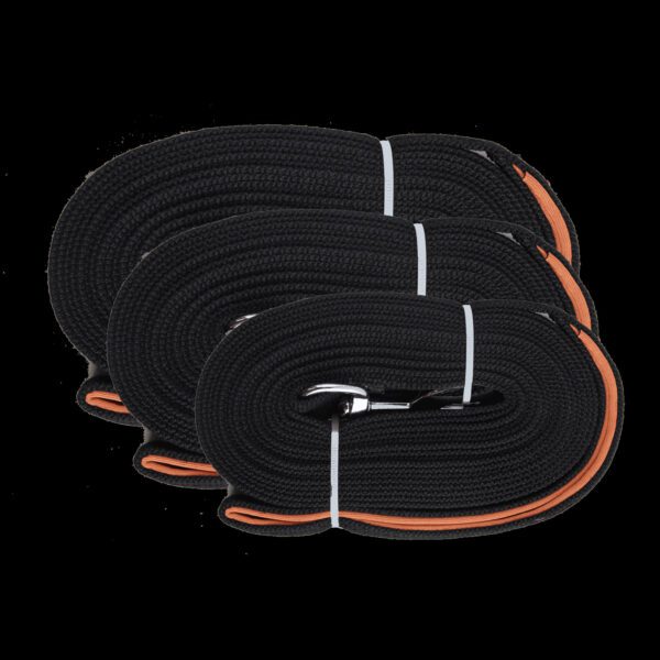 Lot sac à friandises AFP, distributeur PoopyGo et longe Pawise pour chien – photo 6