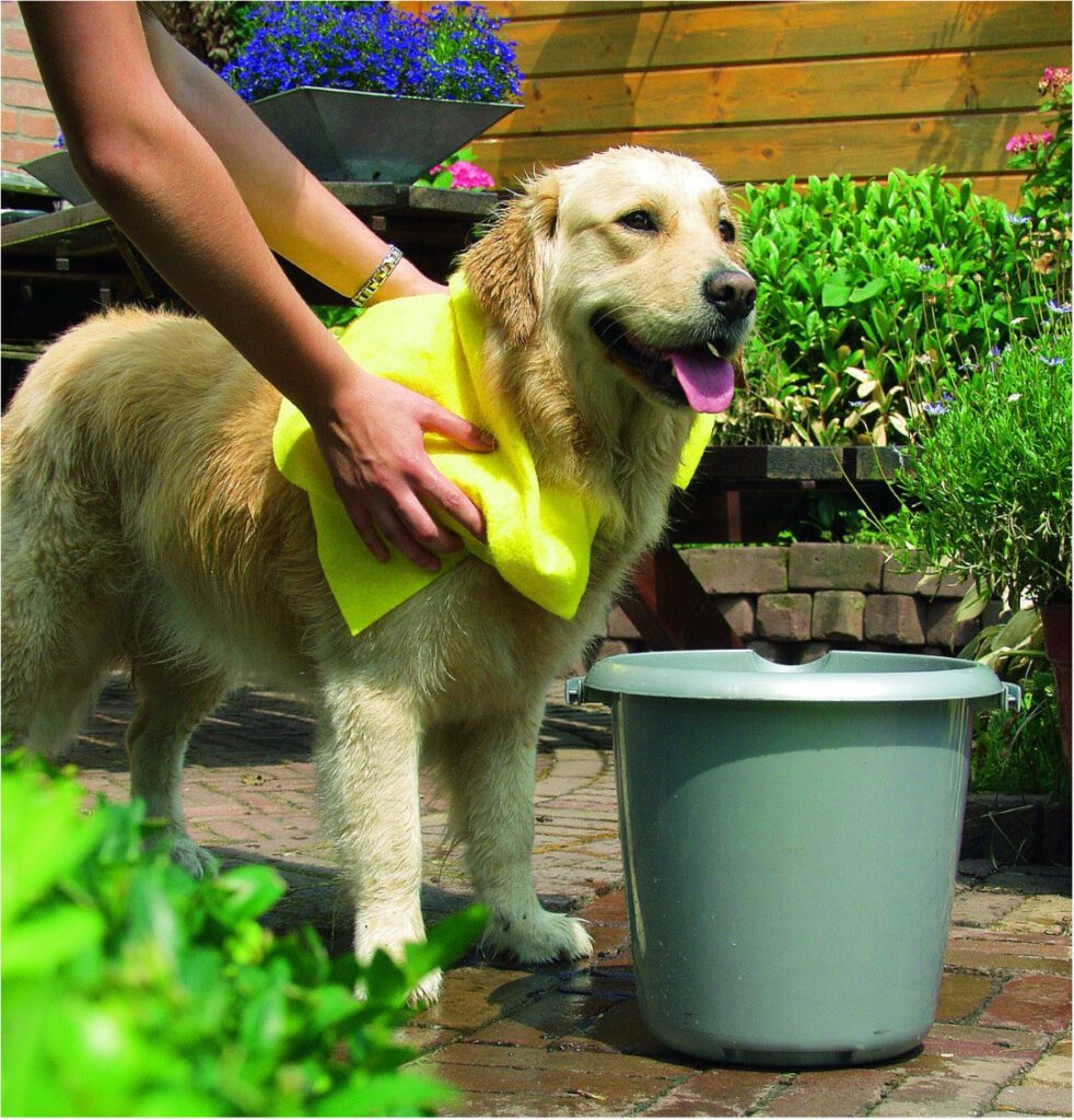 Lot shampooing aloe vera, serviette et râteau Pawise pour chien – photo 3