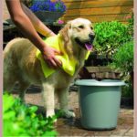 Lot shampooing aloe vera, serviette et râteau Pawise pour chien – photo 3