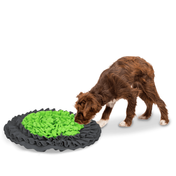 Lot tapis de fouille Eat Slow Live Longer et gamelle antidérapante inox pour chien – photo 2