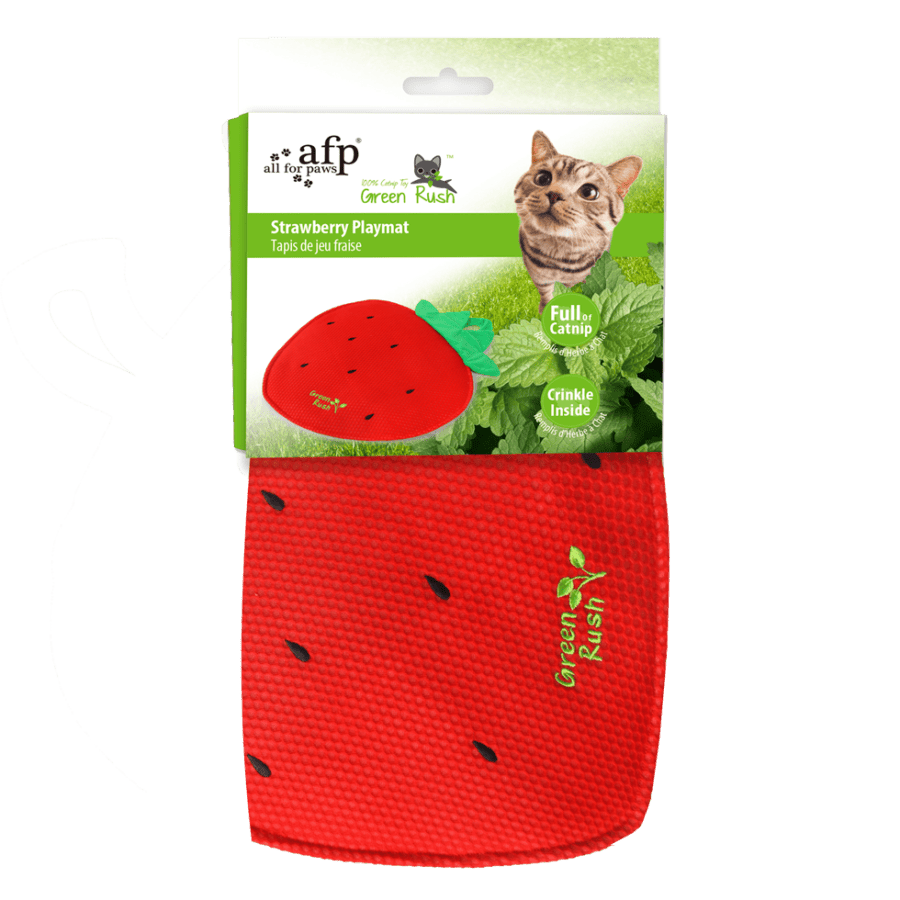 Lot tapis de jeu Green Rush et peluche herbe à chat Pawise – photo 1