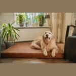 Matelas orthopédique Let's Sleep Mellow Mattress – photo 3