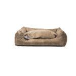 Panier et coussin pour chien – photo 1